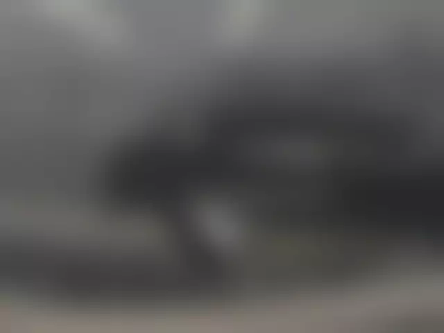 VIN под ветровым стеклом
