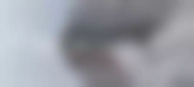 VIN под ветровым стеклом