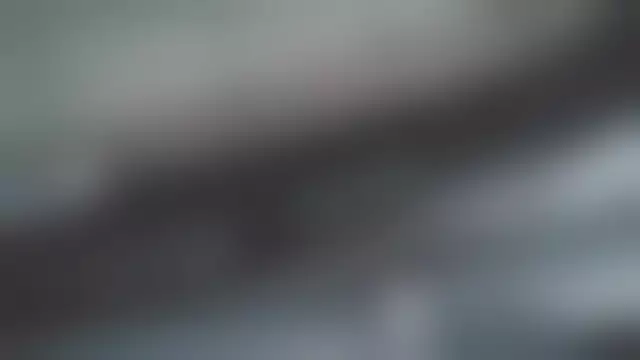 VIN под ветровым стеклом