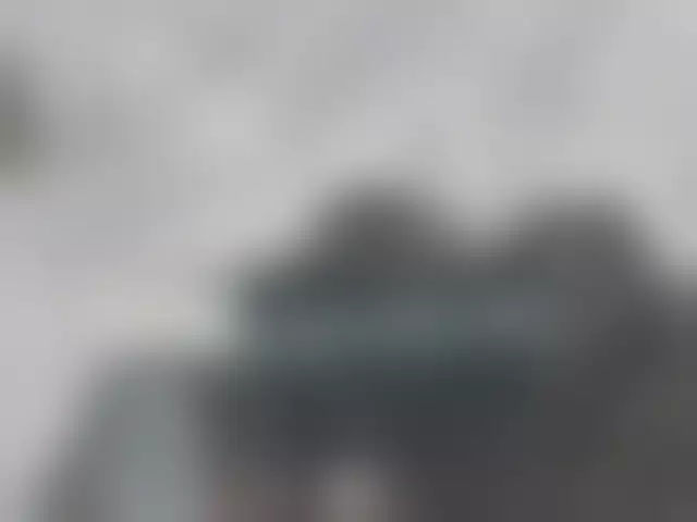 VIN под ветровым стеклом