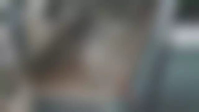 Заводская табличка производителя