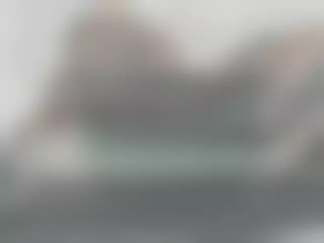 VIN под ветровым стеклом