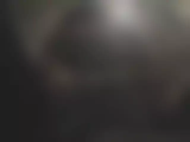 VIN под ветровым стеклом