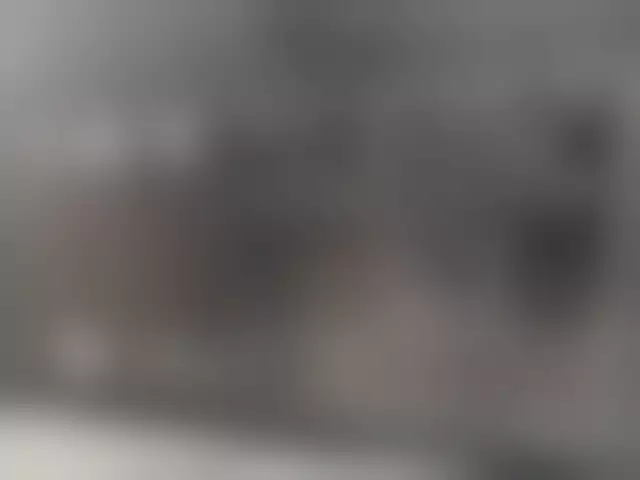 Заводская табличка производителя