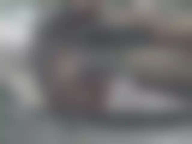 VIN под ветровым стеклом