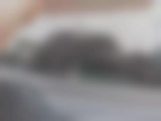 VIN под ветровым стеклом