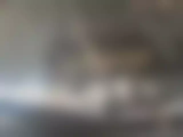 VIN под ветровым стеклом