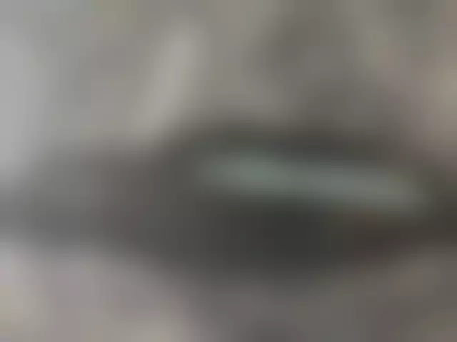VIN под ветровым стеклом