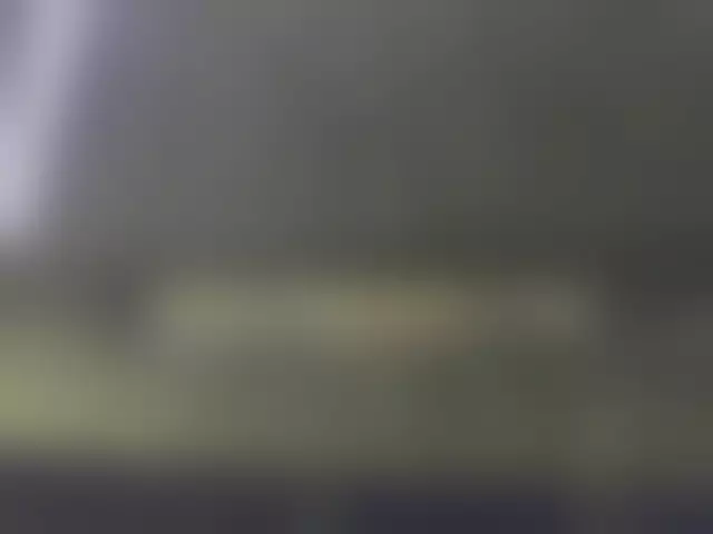 VIN под ветровым стеклом