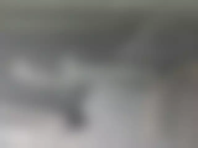 VIN под ветровым стеклом