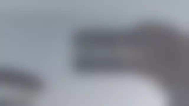 VIN под ветровым стеклом
