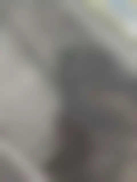VIN под ветровым стеклом