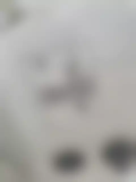 Заводская табличка производителя