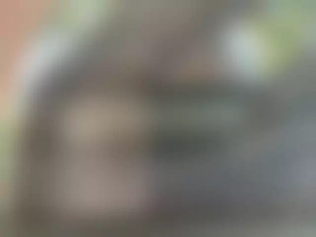 VIN под ветровым стеклом