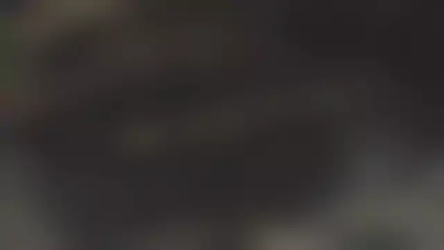 VIN на кузове