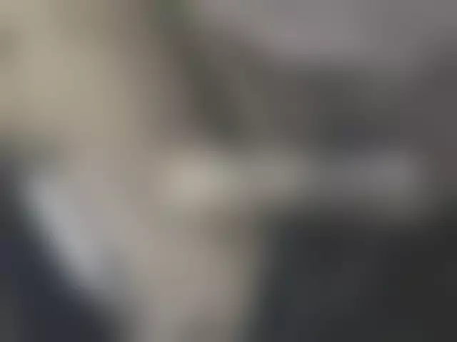VIN под ветровым стеклом