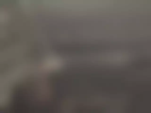 VIN под ветровым стеклом