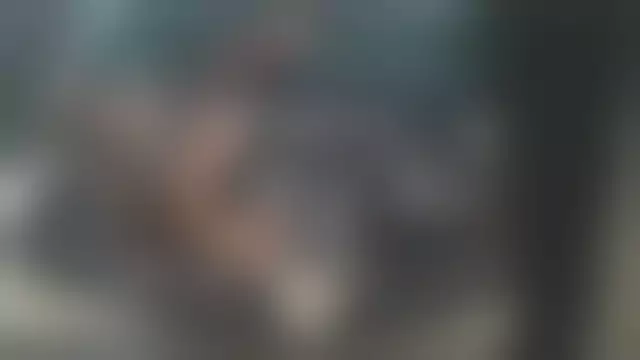 Заводская табличка производителя