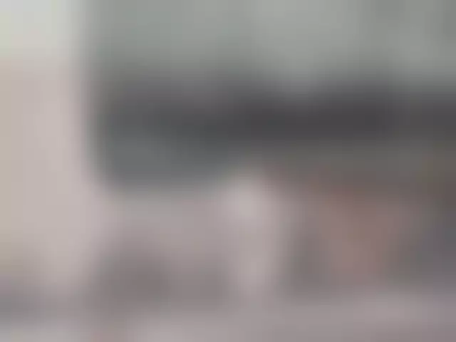 VIN под ветровым стеклом
