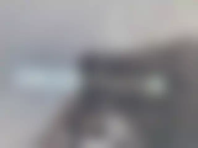 VIN под ветровым стеклом