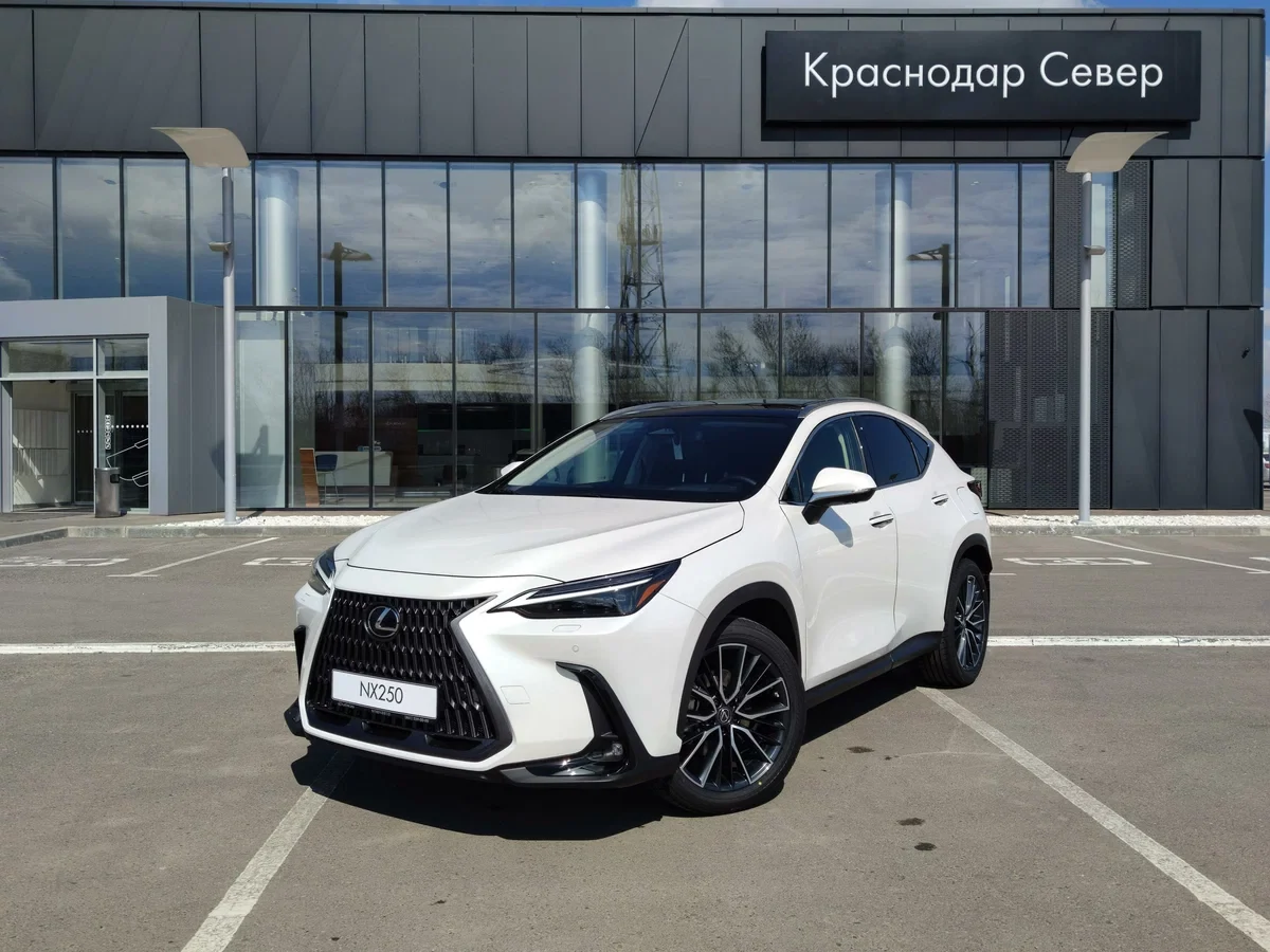 Внешний вид автомобиля — LEXUS NX