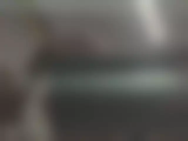 VIN под ветровым стеклом