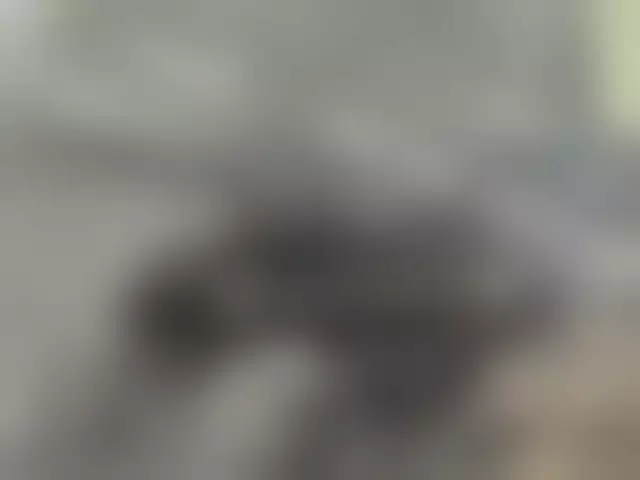 VIN под ветровым стеклом