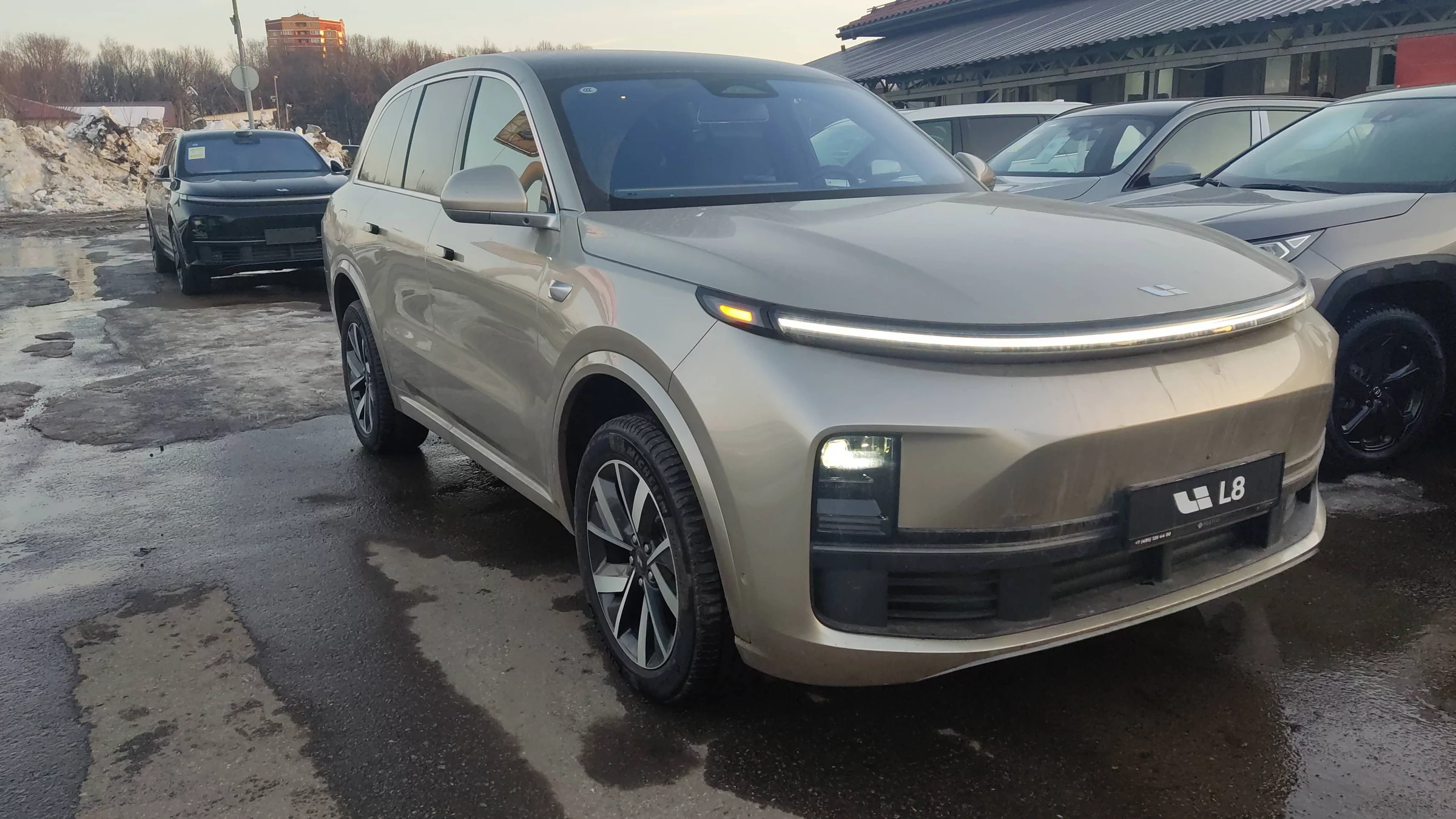 Внешний вид автомобиля — LI L8