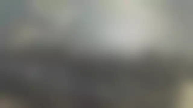 VIN под ветровым стеклом