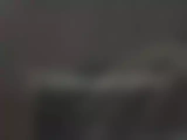 VIN под ветровым стеклом
