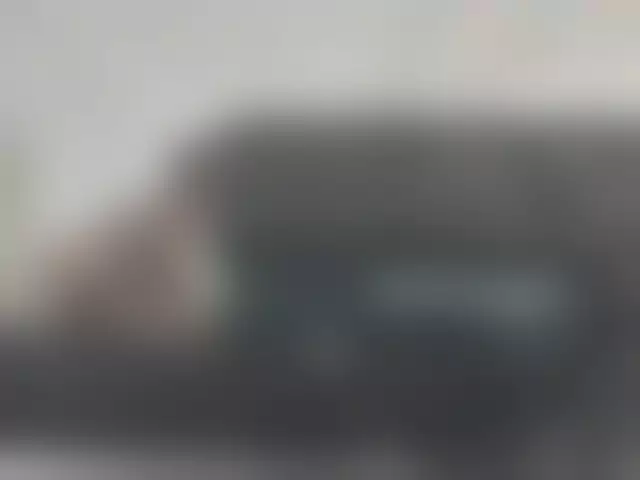 VIN под ветровым стеклом