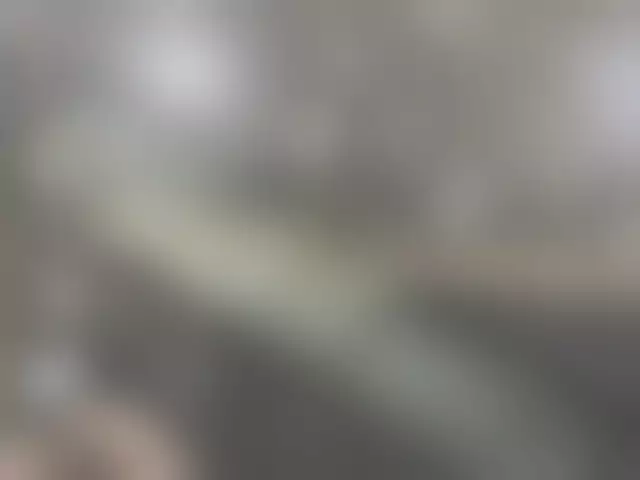 VIN под ветровым стеклом