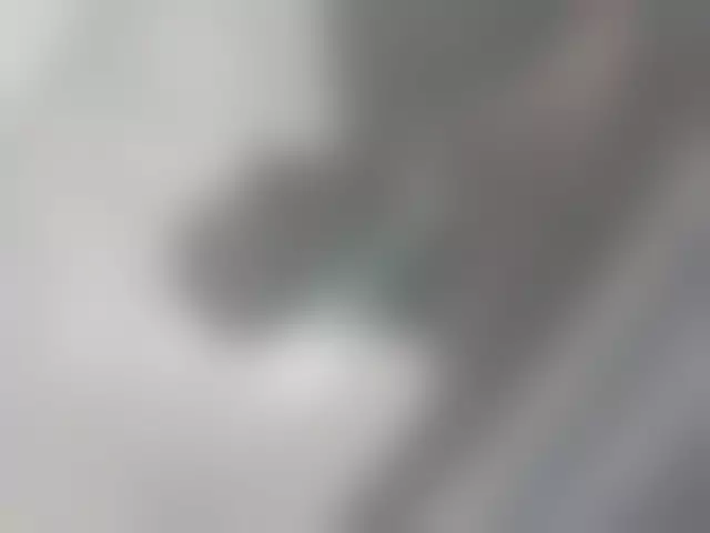 VIN под ветровым стеклом