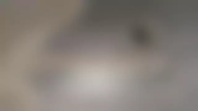 VIN на кузове