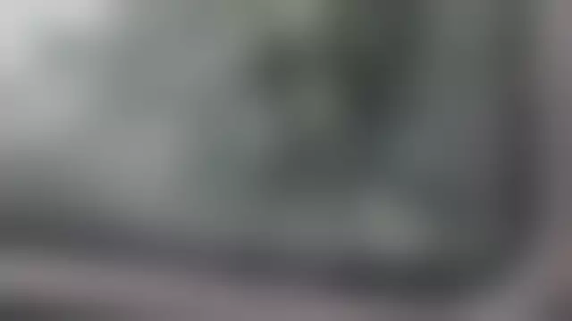 VIN под ветровым стеклом