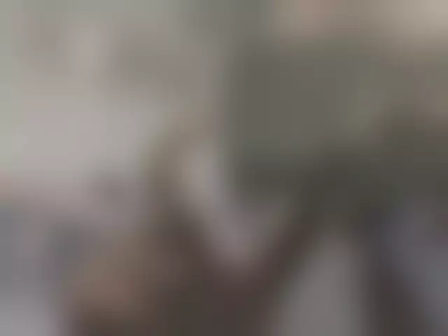 VIN под ветровым стеклом