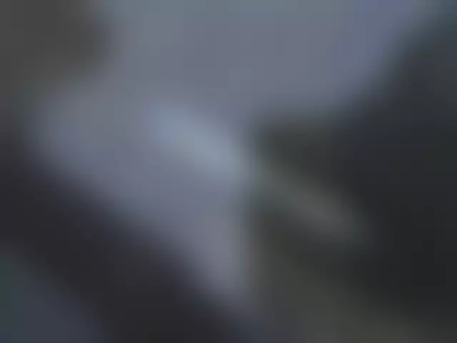 VIN под ветровым стеклом