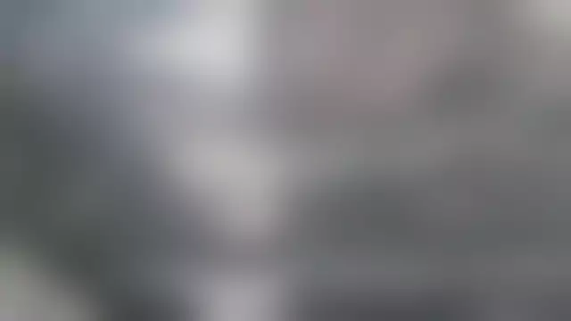 VIN под ветровым стеклом