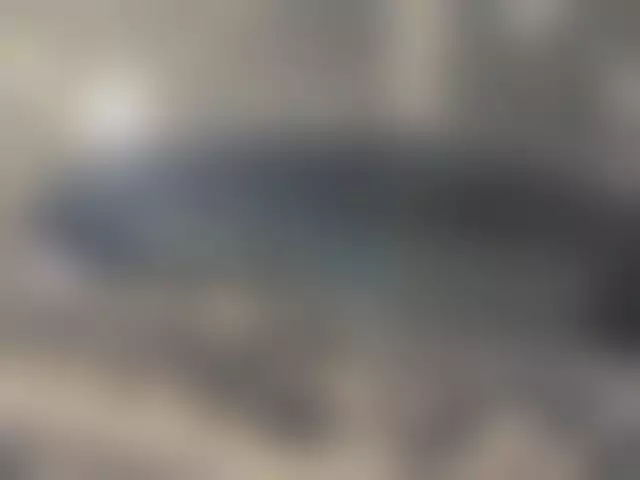 VIN под ветровым стеклом