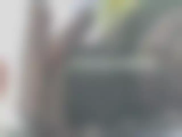 VIN под ветровым стеклом