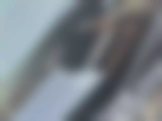 VIN под ветровым стеклом