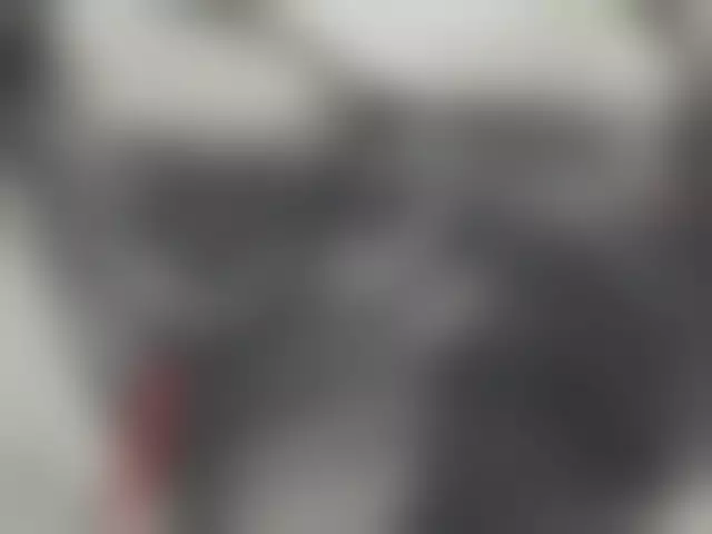 Заводская табличка производителя