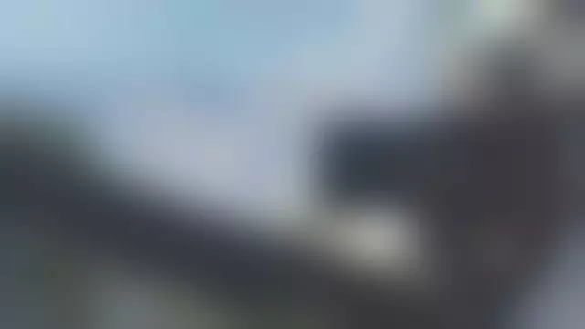 VIN под ветровым стеклом