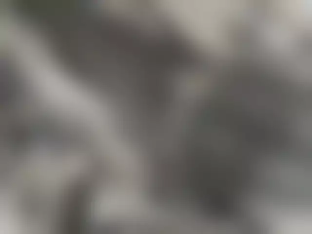 VIN на кузове