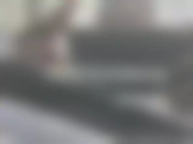 VIN под ветровым стеклом