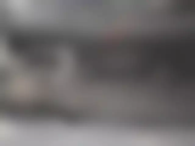 VIN на кузове