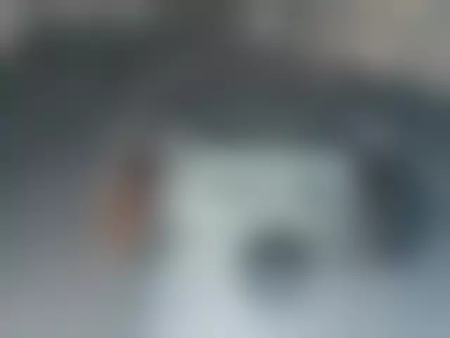VIN под ветровым стеклом