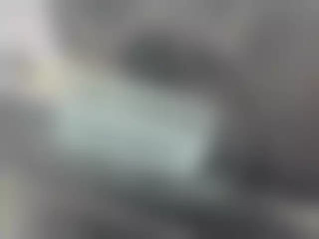 VIN под ветровым стеклом