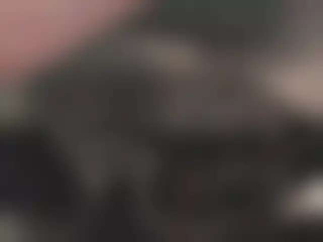 VIN на кузове