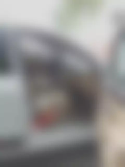 Заводская табличка производителя